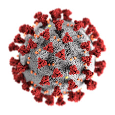 COVID-19 virus