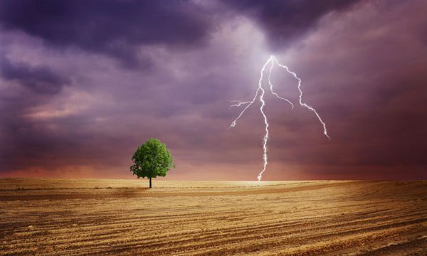 field with tree and lightning