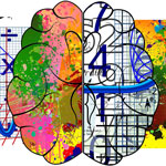 brain