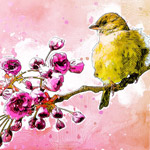 bird on a flowering branch