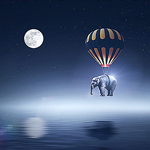 full moon