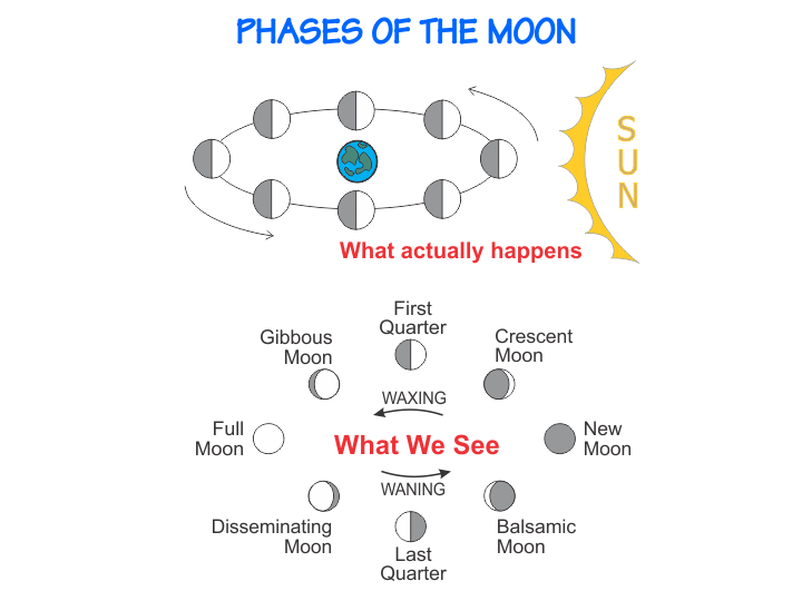 Lunar phases