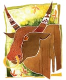 Taurus Daily Horoscope