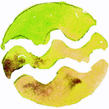 Aquarius glyph