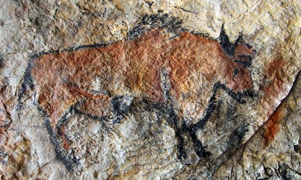 Cave painting of bull