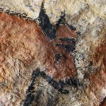 Cave painting of bull